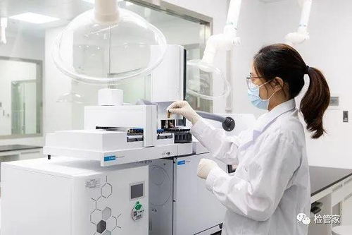 落地母嬰大會 年度金牌服務商的軟件開發與優質服務之道