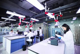 專訪悅刻CEO汪瑩 以技術為槳，向世界發出中國聲音